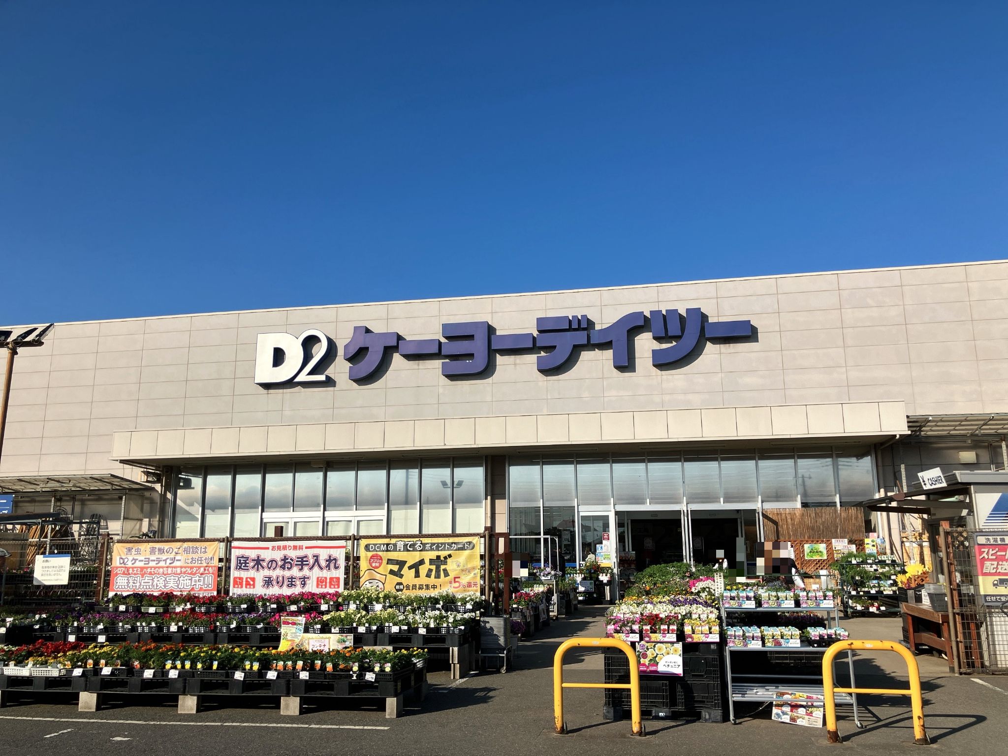 DCM蓮田店